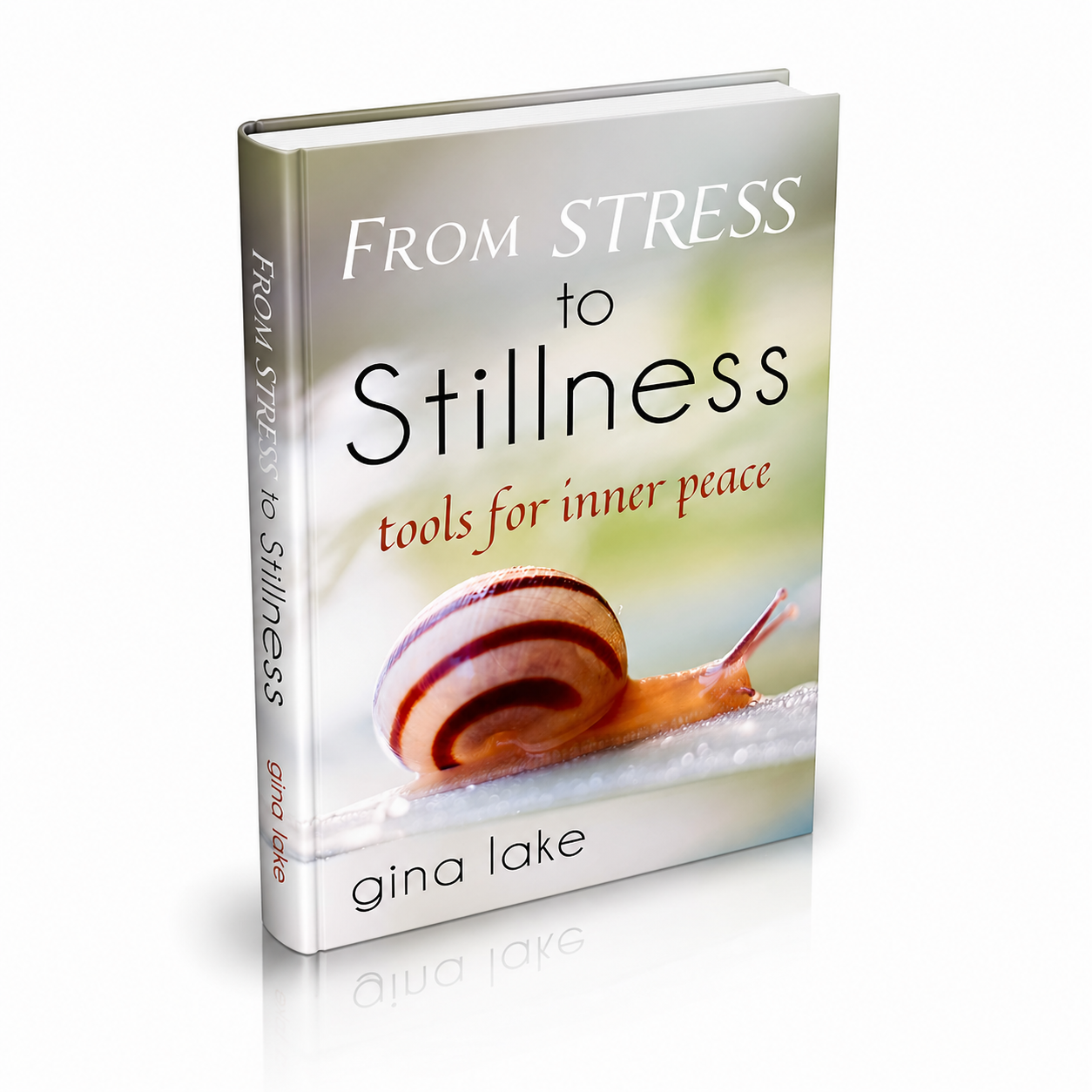 From Stress to Stillness: A Guide to Inner Peace